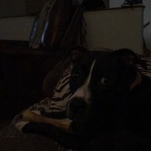 Meet your Posher, Sally